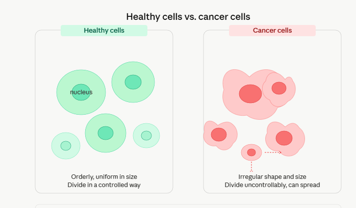 Healthy Vs Cancer cells